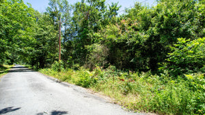 0.17 Acre in Jefferson County, AR Own for $99 Per Month (Parcel Number: 930-02191-000)