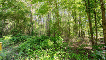 Load image into Gallery viewer, 0.07 Acre in Jefferson County, AR Own for $99 Per Month (Parcel Number: 930-37855-000)
