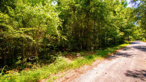 0.14 Acre in Jefferson County, AR Own for $99 Per Month (Parcel Number: 930-37572-000)