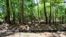 Load image into Gallery viewer, 0.18 Acre in Jefferson County, AR Own for $99 Per Month (Parcel Number: 930-34876-000)
