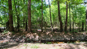 0.18 Acre in Jefferson County, AR Own for $99 Per Month (Parcel Number: 930-34876-000)