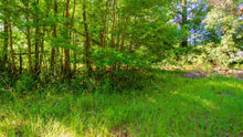 Load image into Gallery viewer, 0.15 Acre in Jefferson County, AR Own for $99 Per Month (Parcel Number: 930-63551-000)
