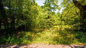 0.12 Acre in Jefferson County, AR Own for $99 Per Month (Parcel Number: 930-29308-000)