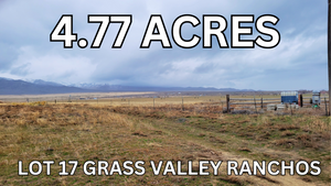 4.77 Acres in Humboldt County, NV Own for $299 Per Month (Lot 17)