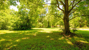 0.16 Acre in Jefferson County, AR Own for $99 Per Month (Parcel Number: 930-29280-000)