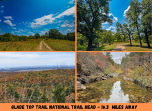 Load image into Gallery viewer, 0.08 Acre in Ozark County, MO Own for $69 Per Month (Parcel Number: 17-0.4-20-004-014-016.000)
