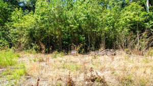 0.24 Acre in Jefferson County, AR Own for $99 Per Month (Parcel Number: 930-39189-000)