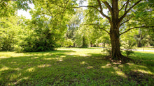 Load image into Gallery viewer, 0.17 Acre in Jefferson County, AR Own for $99 Per Month (Parcel Number: 930-40780-000)
