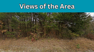 0.17 Acre in Boone County, AR Own for $99 Per Month (Parcel Number: 775-01878-000)