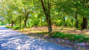 0.17 Acre in Jefferson County, AR Own for $99 Per Month (Parcel Number: 930-25752-000)