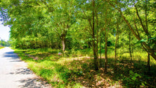 Load image into Gallery viewer, 0.17 Acre in Jefferson County, AR Own for $99 Per Month (Parcel Number: 930-11859-000)
