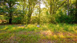 0.14 Acre in Jefferson County, AR Own for $99 Per Month (Parcel Number: 930-63761-000)