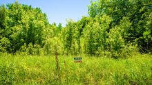 Load image into Gallery viewer, 0.16 Acre in Jefferson County, AR Own for $99 Per Month (Parcel Number: 930-40719-000)
