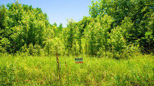 0.16 Acre in Jefferson County, AR Own for $99 Per Month (Parcel Number: 930-40719-000)