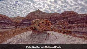 1.32 Acres in Navajo County, AZ Own for $135 Per Month (Parcel Number: 105-58-170)