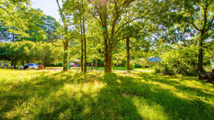 0.14 Acre in Jefferson County, AR Own for $99 Per Month (Parcel Number: 930-63668-000)