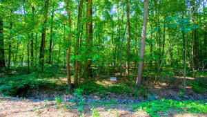 0.14 Acre in Jefferson County, AR Own for $99 Per Month (Parcel Number: 930-12851-000)