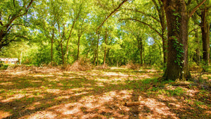 0.17 Acre in Jefferson County, AR Own for $99 Per Month (Parcel Number: 930-25752-000)