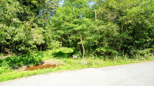 0.07 Acre in Jefferson County, AR Own for $99 Per Month (Parcel Number: 930-37855-000)