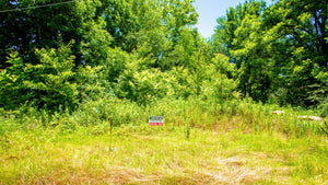 0.17 Acre in Jefferson County, AR Own for $99 Per Month (Parcel Number: 930-40698-000)