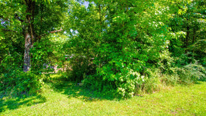 0.15 Acre in Jefferson County, AR Own for $99 Per Month (Parcel Number: 930-18587-000)