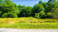 Load image into Gallery viewer, 0.13 Acre in Jefferson County, AR Own for $99 Per Month (Parcel Number: 930-46054-000)
