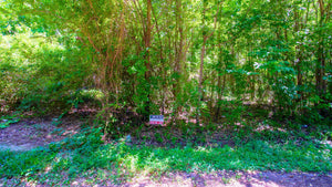 0.14 Acre in Jefferson County, AR Own for $99 Per Month (Parcel Number: 930-37572-000)