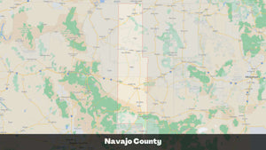 1.33 Acres in Navajo County, AZ Own for $135 Per Month (Parcel Number: 105-53-370)