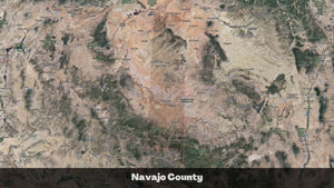 1.32 Acres in Navajo County, AZ Own for $135 Per Month (Parcel Number: 105-58-402)