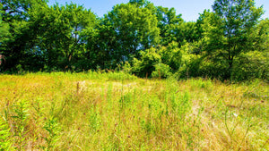 0.13 Acre in Jefferson County, AR Own for $99 Per Month (Parcel Number: 930-46054-000)