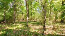 Load image into Gallery viewer, 0.18 Acre in Jefferson County, AR Own for $99 Per Month (Parcel Number: 930-23315-000)
