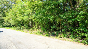 0.07 Acre in Jefferson County, AR Own for $99 Per Month (Parcel Number: 930-37855-000)