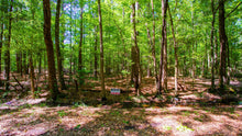 Load image into Gallery viewer, 0.15 Acre in Jefferson County, AR Own for $99 Per Month (Parcel Number: 930-17865-408)
