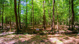 0.15 Acre in Jefferson County, AR Own for $99 Per Month (Parcel Number: 930-17865-408)