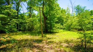 0.12 Acre in Jefferson County, AR Own for $99 Per Month (Parcel Number: 930-29308-000)