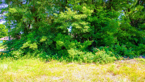 0.12 Acre in Jefferson County, AR Own for $99 Per Month (Parcel Number: 930-70293-000)