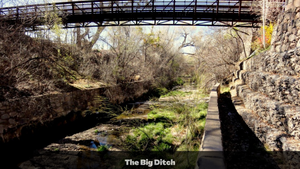 1 Acre in Luna County, NM (3036156056102, 3036156045102)