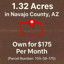 Load image into Gallery viewer, 1.32 Acres in Navajo County, AZ Own for $175 Per Month (Parcel Number: 105-58-170)

