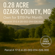 Load image into Gallery viewer, 0.28 Acre in Ozark County, MO Own for $119 Per Month (Parcel Number: 17-0.4-20-002-014-026.000)
