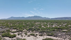 2.5 Acre Lot in Sunny New Mexico (APN: 3-037-143-167-412) - Call Us at 618-496-6107