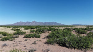 1 Acre in Luna County, NM (3036156056102, 3036156045102)