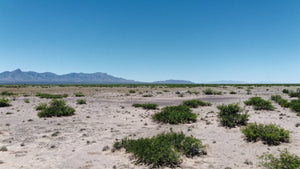 1 Acre in Luna County, NM Own for $199 Per Month (Parcel Number: 3033154479368 & 3033154467368)