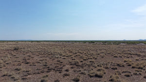 1 Acre in Luna County, NM (3033154456368 & 3033154444368)