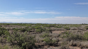 3 Acre in Luna County, NM Own for $299 Per Month (Parcel Number: 3-037-143-224-036)