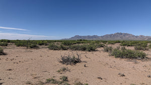 2.5 Acre Lot in Sunny New Mexico (APN: 3-037-143-241-082)- Call Us at 618-496-6107