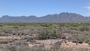 2.5 Acre in Luna County, NM Own for $375 Per Month (Parcel Number: 3-037-143-134-379)