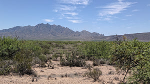 2.5 Acre in Luna County, NM Own for $375 Per Month (Parcel Number: 3-037-143-134-444)