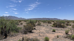 2.5 Acre in Luna County, NM Own for $375 Per Month (Parcel Number: 3-037-143-134-444)