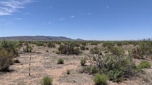 2.5 Acre in Luna County, NM Own for $375 Per Month (Parcel Number: 3-037-143-134-444)