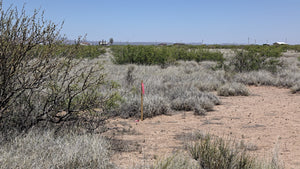 2.5 Acre Lot in Sunny New Mexico (APN: 3-037-143-167-444) - Call Us at 618-496-6107